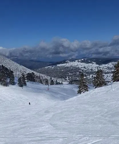 Apartament Helmos Mountain Retreat